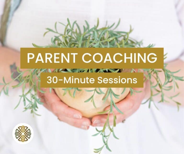 Parent Coaching Services for foster, adoptive, and kinship families.