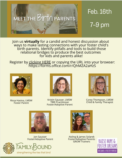 Meet the Birth Parents Flyer